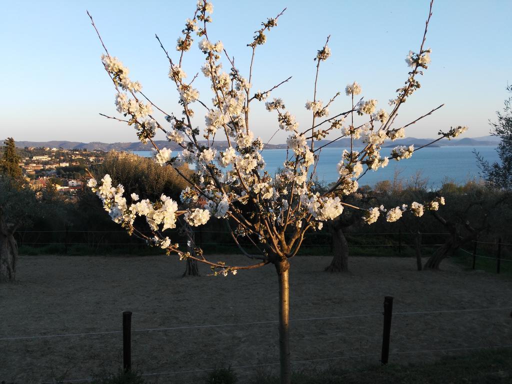 Aparthotel Antico Casale Tiravento Passignano sul Trasimeno Exterior foto