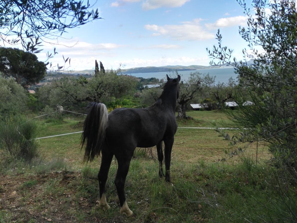 Aparthotel Antico Casale Tiravento Passignano sul Trasimeno Exterior foto