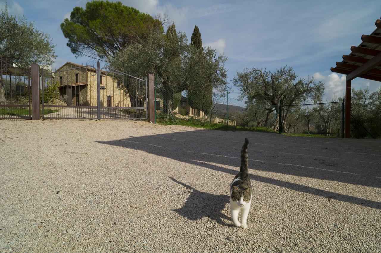 Aparthotel Antico Casale Tiravento Passignano sul Trasimeno Exterior foto
